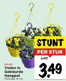 Vomar Voordeelmarkt Violen in Gekleurde Hangpot aanbieding