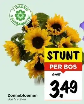 Vomar Voordeelmarkt Zonnebloemen aanbieding