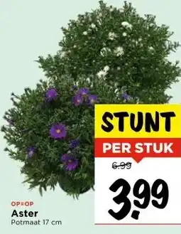 Vomar Voordeelmarkt Aster aanbieding