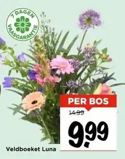 Vomar Voordeelmarkt Veldboeket Luna aanbieding