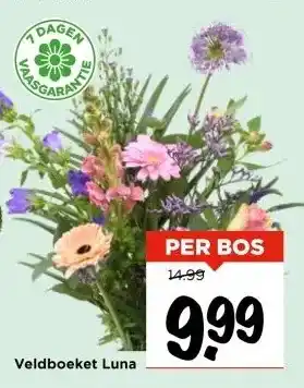 Vomar Voordeelmarkt Veldboeket Luna aanbieding
