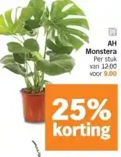 Albert Heijn AH Monstera aanbieding