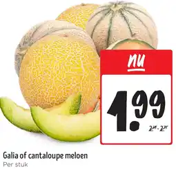 Jumbo Galia of cantaloupe meloen aanbieding