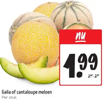 Jumbo Galia of cantaloupe meloen aanbieding