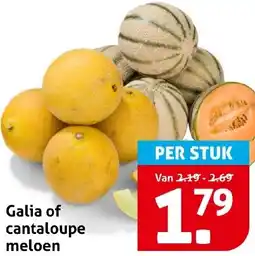 Hoogvliet Galia of cantaloupe meloen aanbieding