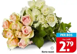 Hoogvliet Korte rozen aanbieding