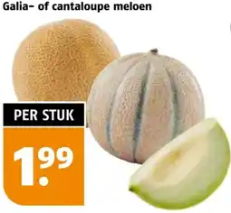 Poiesz Galia of cantaloupe meloen aanbieding
