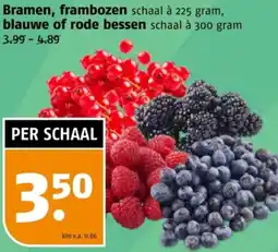 Poiesz Bramen, frambozen, blauwe of rode bessen aanbieding