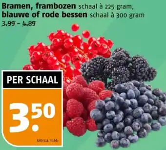 Poiesz Bramen, frambozen, blauwe of rode bessen aanbieding