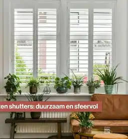 Roobol Houten shutters: duurzaam en sfeervol aanbieding