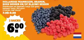 Coop Hollandse frambozen bramen rode bessen en/of blauwe bessen aanbieding