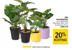 Xenos Alle kunstplanten aanbieding