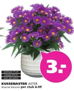 Ranzijn KUSSENASTER ASTER aanbieding