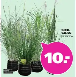 Ranzijn SIER- GRAS aanbieding