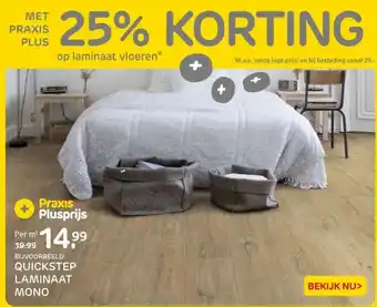 Praxis QUICKSTEP LAMINAAT MONO aanbieding