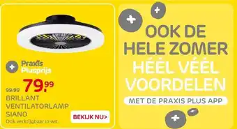 Praxis BRILLANT VENTILATORLAMP SIANO aanbieding