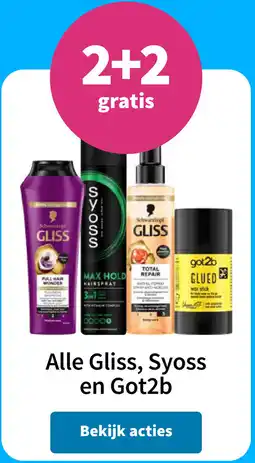 Plein.nl Alle Gliss, Syoss en Got2b aanbieding
