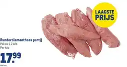 Makro Runderdiamanthaas partij aanbieding