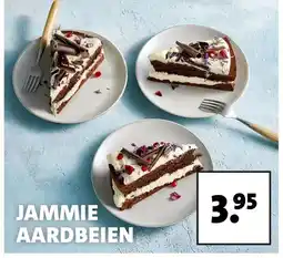 Intratuin JAMMIE AARDBEIEN aanbieding