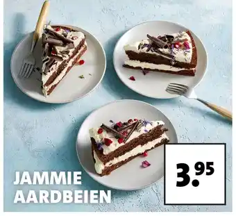 Intratuin JAMMIE AARDBEIEN aanbieding