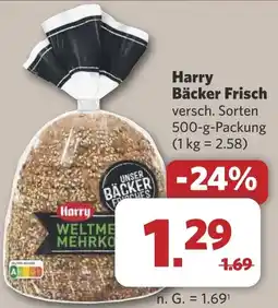 Combi Harry Bäcker Frisch aanbieding