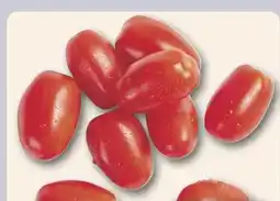 Combi Datteltomaten aanbieding