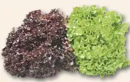 Combi Deutscher Mix Salat aanbieding