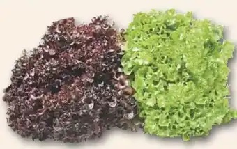 Combi Deutscher Mix Salat aanbieding
