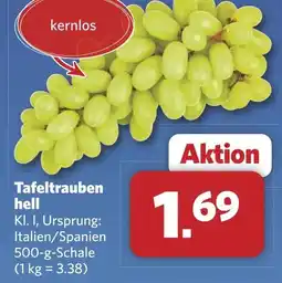 Combi Tafeltrauben hell aanbieding
