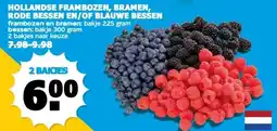 Boon`s Markt HOLLANDSE FRAMBOZEN, BRAMEN, RODE BESSEN EN/OF BLAUWE BESSEN aanbieding
