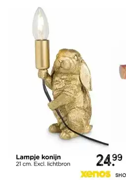 Xenos Lampje konijn aanbieding
