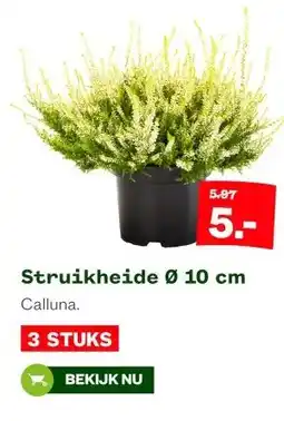 Welkoop Struikheide 0 10 cm aanbieding