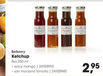 HANOS Belberry ketchup 250 ml aanbieding