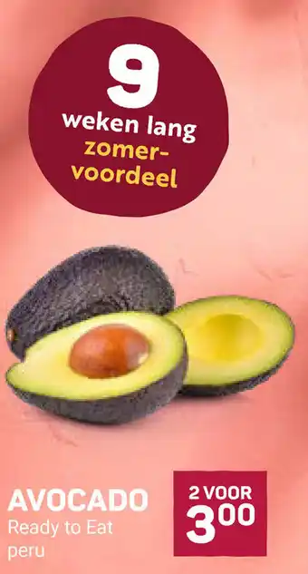 Ekoplaza Avocado aanbieding