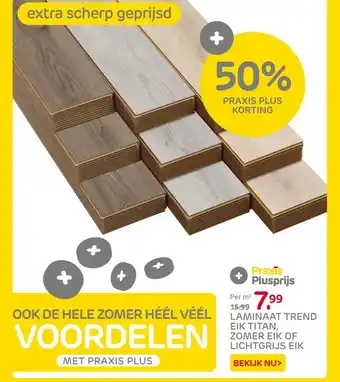 Praxis LAMINAAT TREND EIK TITAN, ZOMER EIK OF LICHTGRIJS EIK aanbieding