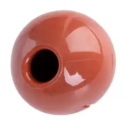 Zooplus TIAKI snackbal met rundvleessmaak Ø6,5cm hond aanbieding