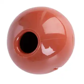 Zooplus TIAKI snackbal met rundvleessmaak Ø6,5cm hond aanbieding