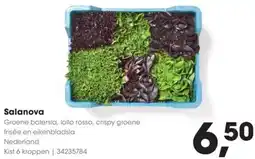 HANOS Salanova aanbieding