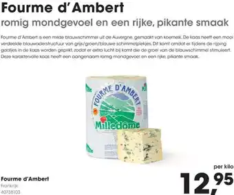 HANOS Fourme d'Ambert aanbieding