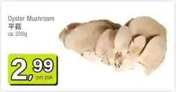 Amazing Oriëntal Oyster Mushroom 平菇 aanbieding