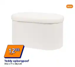 Action Teddy opbergpoef aanbieding