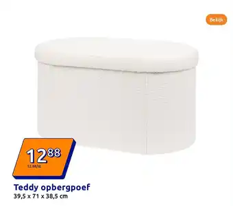Action Teddy opbergpoef aanbieding