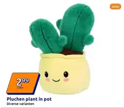 Action Pluchen plant in pot aanbieding