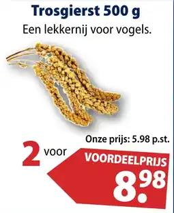 Huisdier Voordeelshop Trosgierst aanbieding