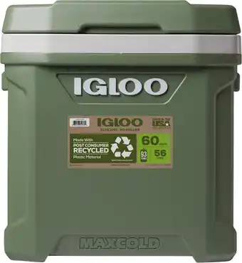 Coolblue Igloo ECOCOOL 60 Roller aanbieding