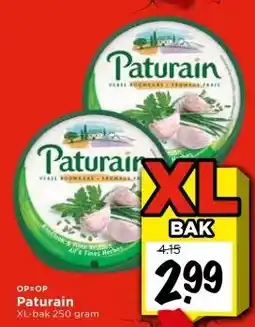 Vomar Voordeelmarkt Paturain aanbieding