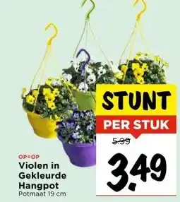 Vomar Voordeelmarkt Violen in Gekleurde Hangpot aanbieding