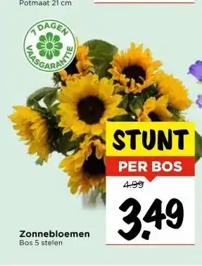 Vomar Voordeelmarkt Zonnebloemen aanbieding