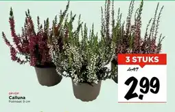 Vomar Voordeelmarkt Calluna aanbieding