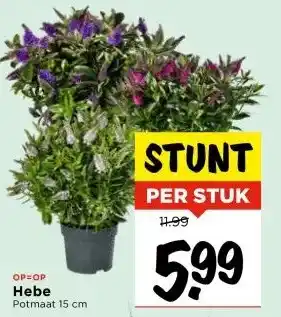 Vomar Voordeelmarkt Hebe aanbieding